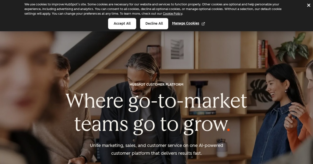 HubSpot website preview