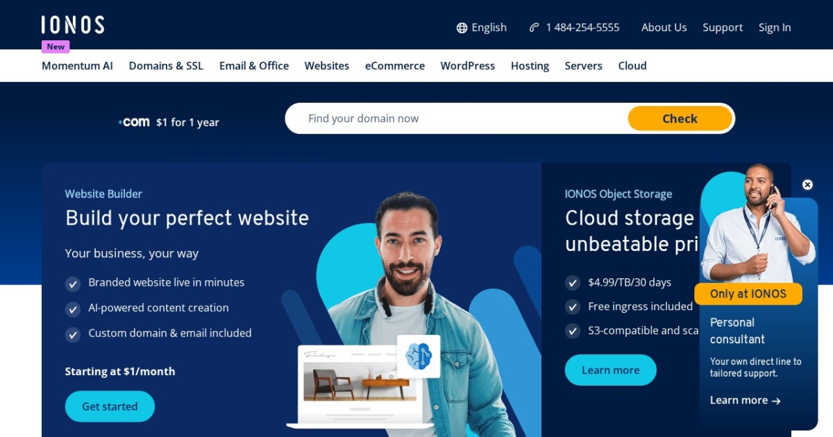 IONOS website preview