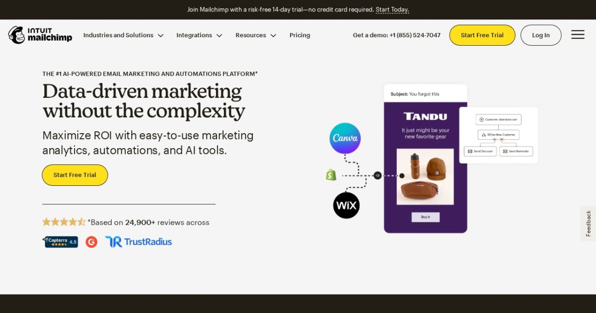 Mailchimp website preview