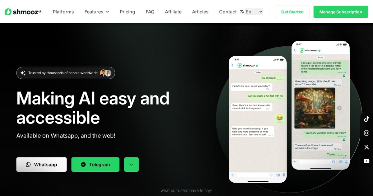 Shmooz AI website preview